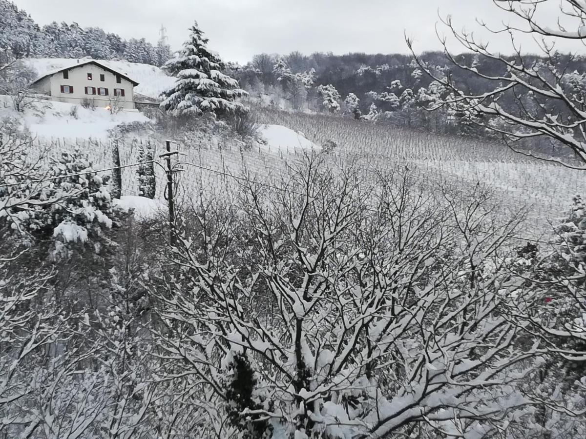 Cottage Lavanda E Rosmarino Lavis Luaran gambar
