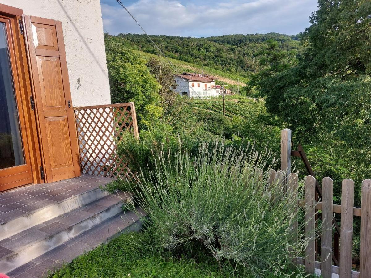 Cottage Lavanda E Rosmarino Lavis Luaran gambar
