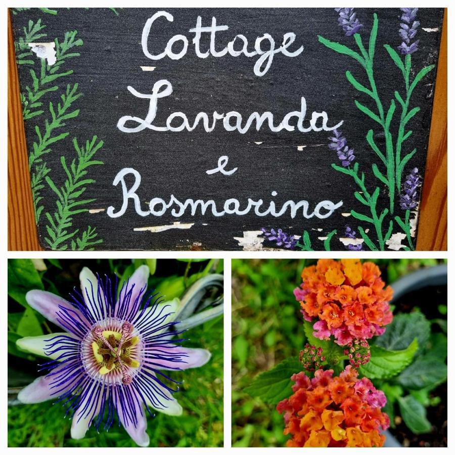 Cottage Lavanda E Rosmarino Lavis Luaran gambar