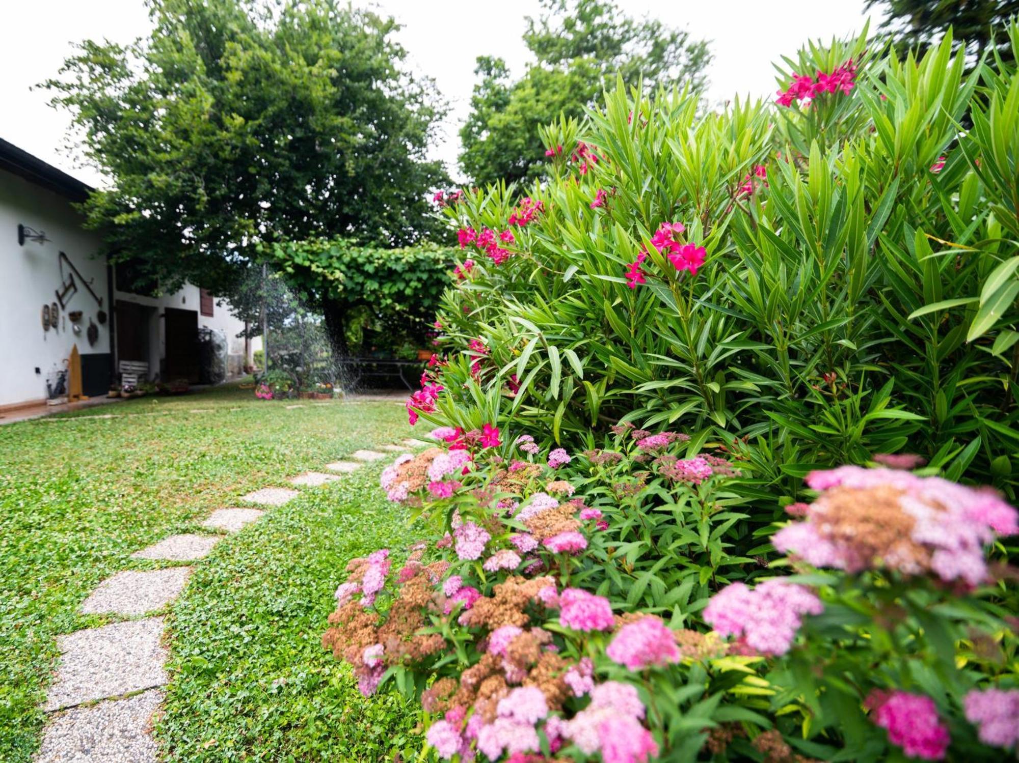 Cottage Lavanda E Rosmarino Lavis Luaran gambar